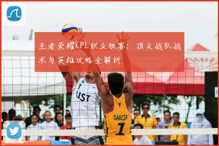 王者荣耀KPL职业联赛：顶尖战队战术与英雄攻略全解析